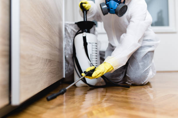 Best Insect Control  in Eatonville, WA