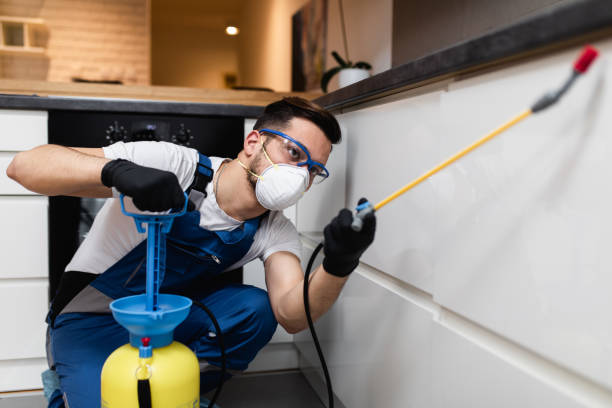 Best Cockroach Control Services  in Eatonville, WA