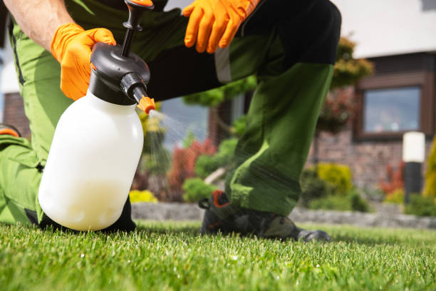 Best Emergency Pest Control  in Eatonville, WA