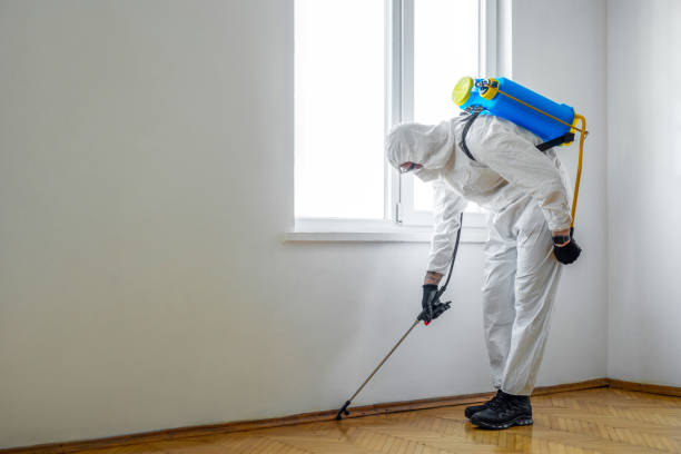 Best Residential Pest Control  in Eatonville, WA