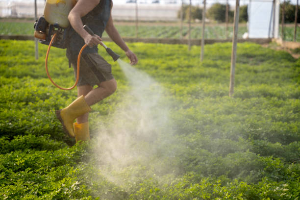 Best Mosquito Control Services  in Eatonville, WA