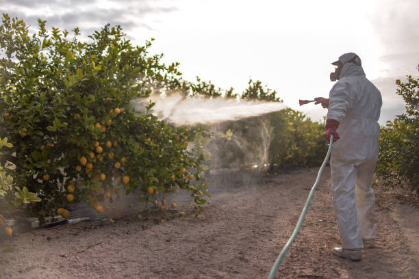 Pest Control Cost in Eatonville, WA