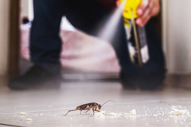 Best Local Pest Control Services  in Eatonville, WA